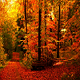 november2018-newsletter